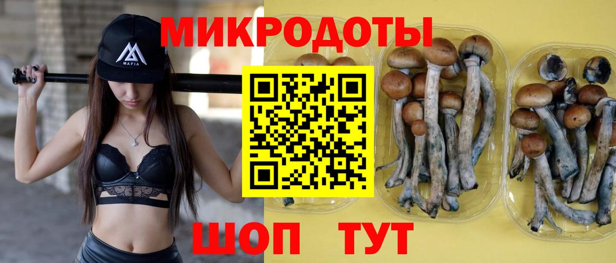 Омск  Псилоцибиновые грибы Psilocybe  Вход с VPN 